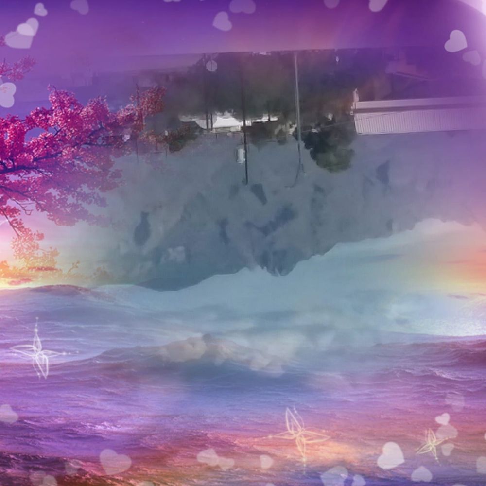 Meet your Posher, Kristina